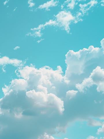 000 numara melek feature image