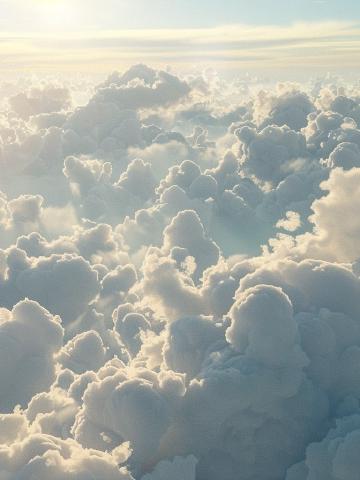 Engel nummer 236 feature image