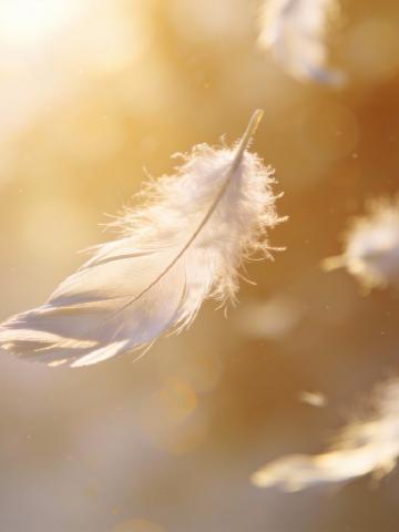 Angel Numbers Guide feature image