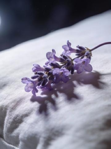 Dream Interpretation Guide feature image