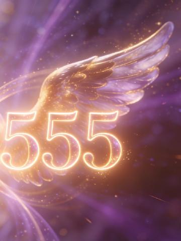 Å se 444 og 555 sammen feature image