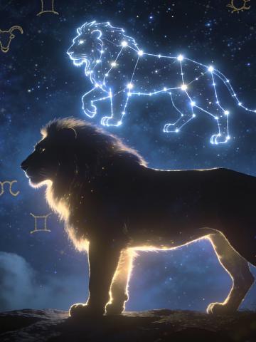 Leo Spirit Animal feature image